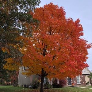 Meet your Posher, Lane